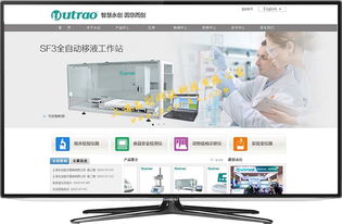 青浦專業(yè)網站建設 打造企業(yè)在線形象，助力淘寶店鋪騰飛