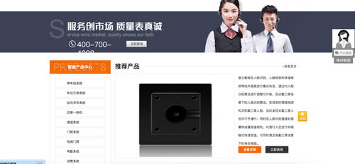 企業(yè)營銷型網站設計 構筑數(shù)字時代的流量與轉化中樞